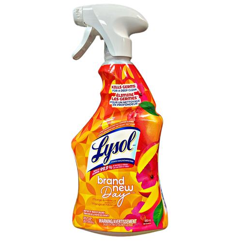 LYSOL ALL PURPOSE CLEANER MANGO 650ML PK6 / UOM C12